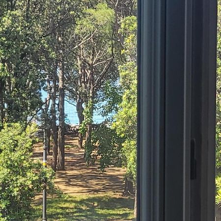Medium Miramare Appartamento Sogno Sul Mare Trieste Eksteriør bilde