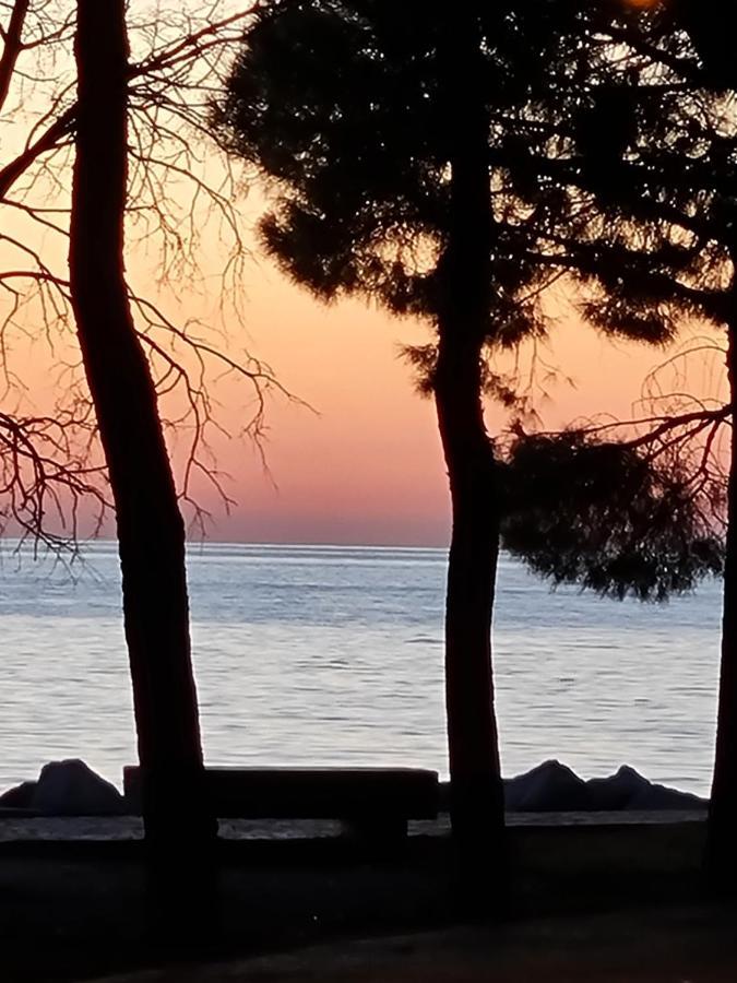 Medium Miramare Appartamento Sogno Sul Mare Trieste Eksteriør bilde