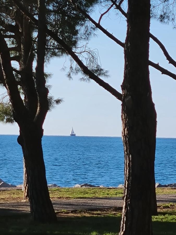 Medium Miramare Appartamento Sogno Sul Mare Trieste Eksteriør bilde